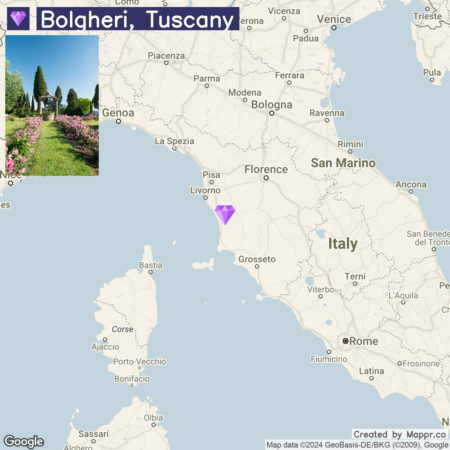 A map highlighting the location of Bolgheri in Tuscany, Italy, with a small photograph of a pathway lined with flowers leading to a tall cypress tree next to the map label.