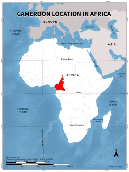 Cameroon location on world map, color version.