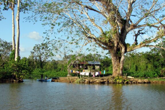 Caño Negro Wildlife Refuge, a wetland sanctuary for diverse bird species