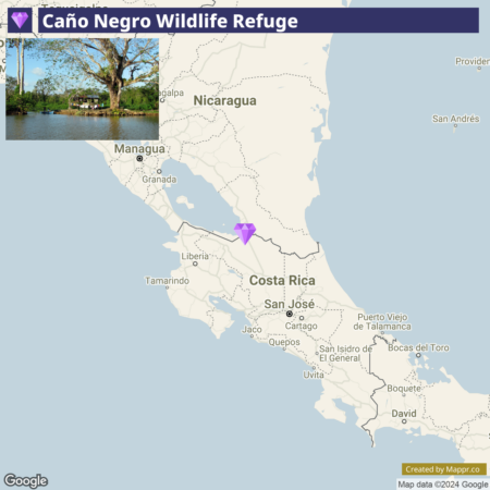 Map highlighting the location of Caño Negro Wildlife Refuge with a purple marker, situated in the northern part of Costa Rica, near the border with Nicaragua.