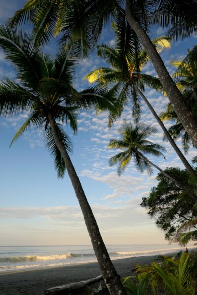 Remote beauty and pristine beaches at Carate