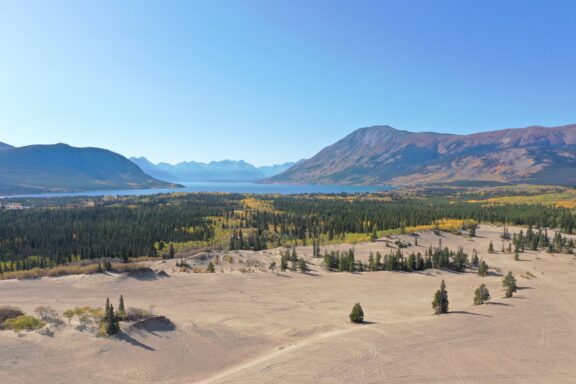 Carcross Desert, an oasis of adventure in the Yukon