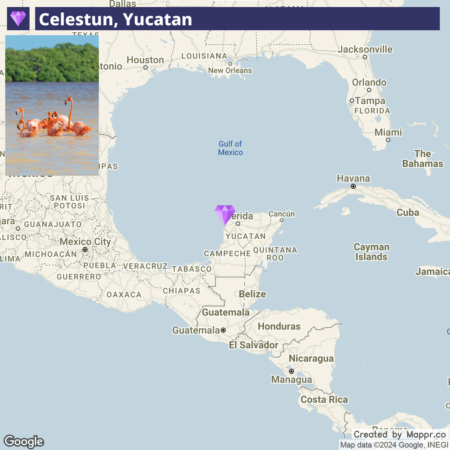 A map highlighting Celestun, Yucatan, with a small image of flamingos in the water in the lower left corner, positioned over the Gulf of Mexico.