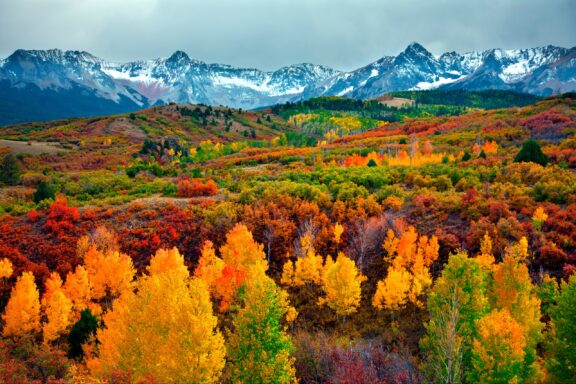 A vibrant autumn landscape featuring a palette of warm foliage colors with snow-capped mountains in the background under an overcast sky.