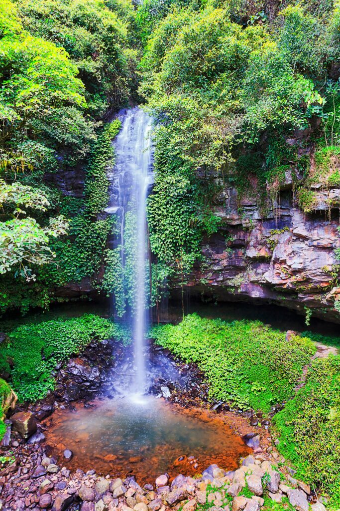 Crystal Shower Falls, a hidden cascade within a verdant rainforest