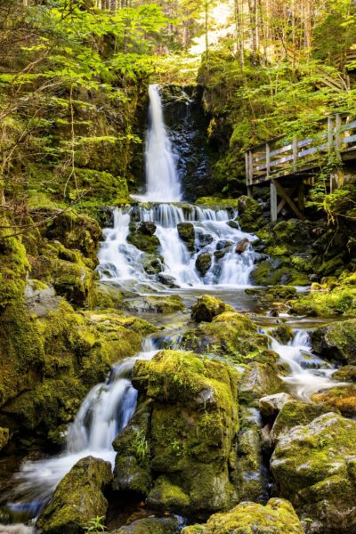 The dramatic tides and coastal forests of Fundy National Park