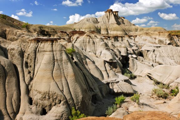 Dinosaur Provincial Park