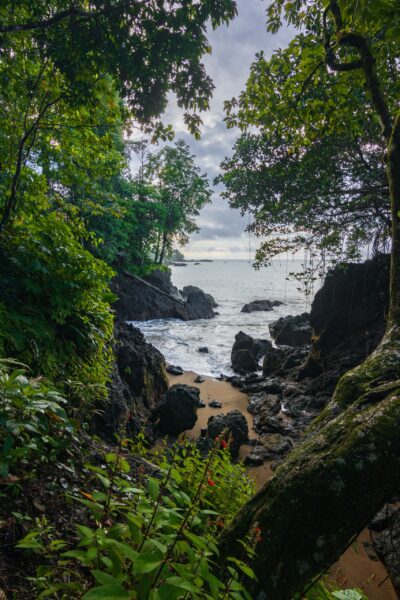 Drake Bay, a remote coastal paradise offering unique eco-adventures