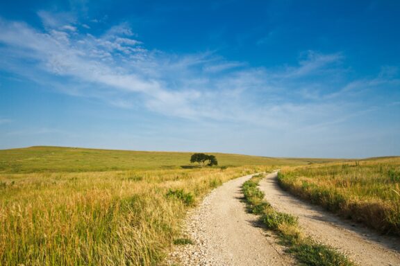 A gravel road going through the Flint Hills of Kansas.