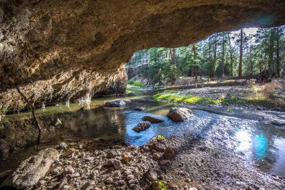 A cave along the middle fork, Gila Wilderness