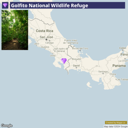 Alt text: Map highlighting the location of Golfito National Wildlife Refuge on the southern Pacific coast of Costa Rica near the border with Panama. The map also shows major nearby cities and towns, as well as the neighboring country Panama to the southeast.