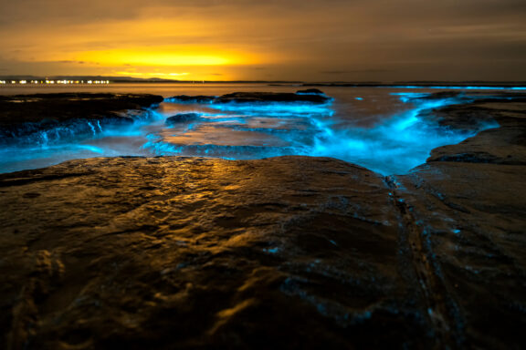 Bioluminescence at Jervis Bay