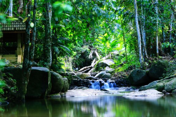 Kathu Waterfall, Phuket's hidden gem in the jungle