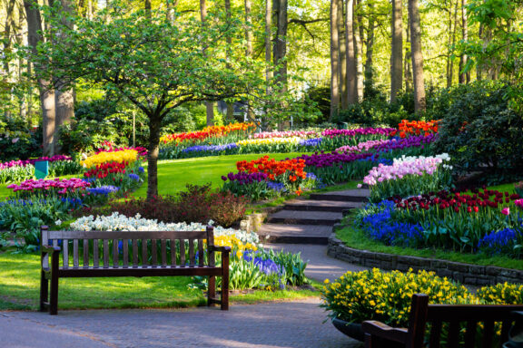 Keukenhof Flower, Lisse, the largest tulip park