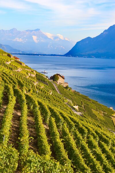 Lavaux Vineyard Terraces, a testament to centuries of winemaking tradition