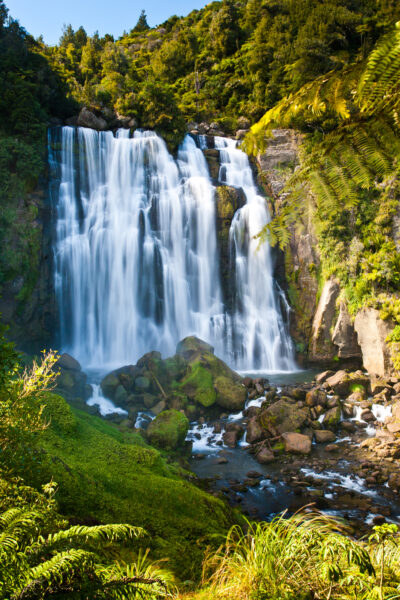 Marokopa Falls, where water dances in the heart of the forest