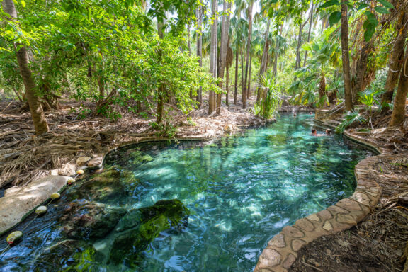 Mataranka's natural springs in Elsey National Park