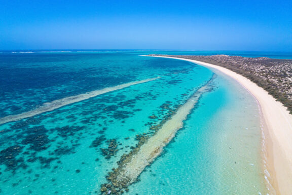 Ningaloo Reef, a snorkeler's paradise