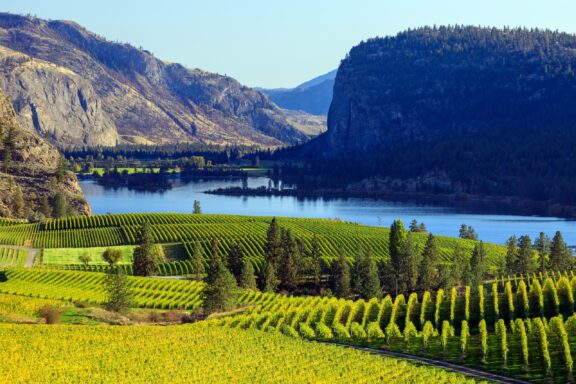 Okanagan Valley, where vineyards and crystal-clear lakes converge