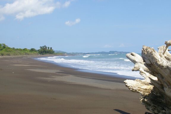 Playa Ostiona, a renowned nesting ground for turtles