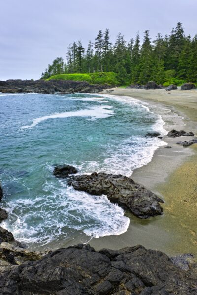 Pacific Rim's rugged coast, a symphony of surf and stone