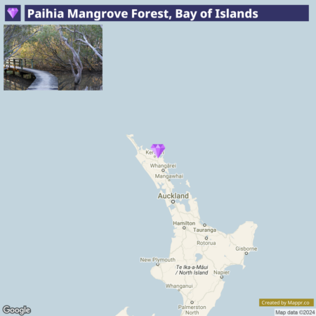 Top section showing a photo of Paihia Mangrove Forest with tranquil waters and lush greenery, and a wooden walkway. Below is a map highlighting the geographic location of the Paihia Mangrove Forest, Bay of Islands, on New Zealand's North Island, with nearby cities labeled.