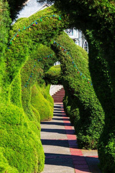 Parque Francisco Alvarado, an Urban oasis