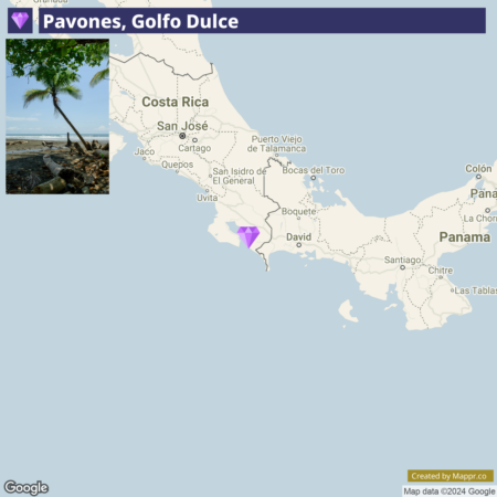 A map highlighting Pavones, Golfo Dulce in Costa Rica, with an inset photograph of a beach scene featuring a single palm tree.