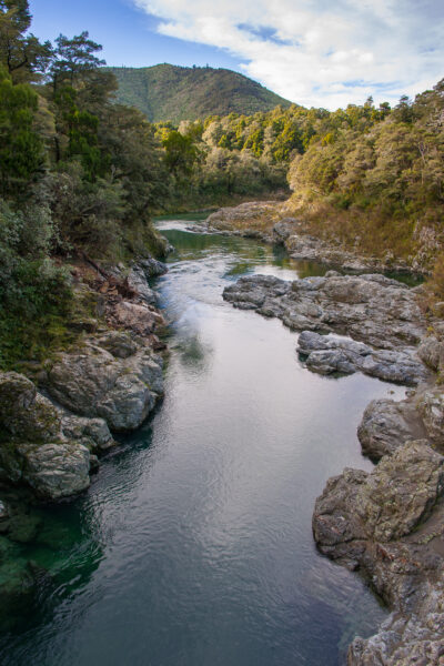 Pelorus River, the jewel of middle-earth's waterways