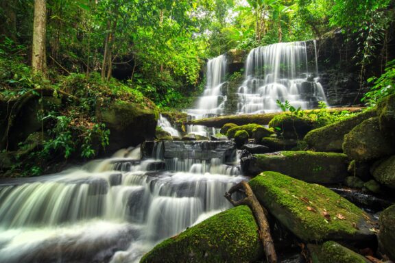 The misty peaks of Phetchabun, a haven for nature lovers