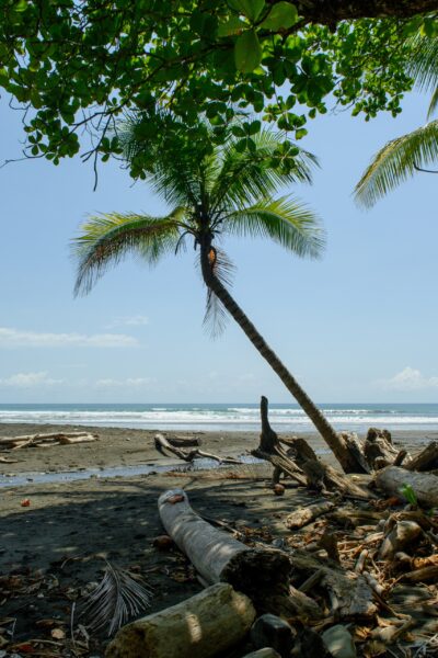 Pavones, Golfo Dulce's legendary surf spot