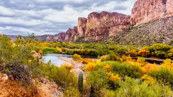 The Salt River and surrounding Mountains in the state of Arizona with fall colored shrubs and trees.