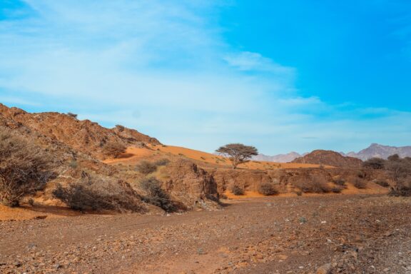 A desert landscape featuring rocky terrain with sparse vegetation and a single tree against a backdrop of sand dunes and mountains under a clear blue sky.