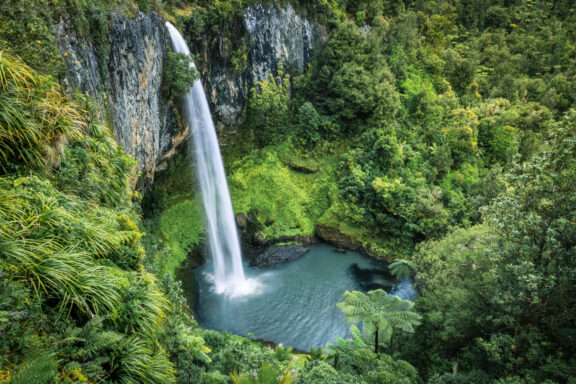 The cascading elegance of Bridal Veil Falls in Raglan's lush setting