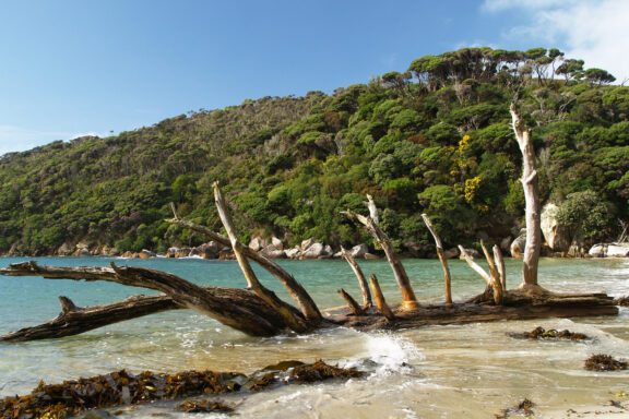 The untouched wilderness of Stewart Island