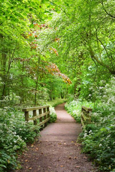 Stochemhoeve Park, a serene natural area perfect for leisurely walks and picnics