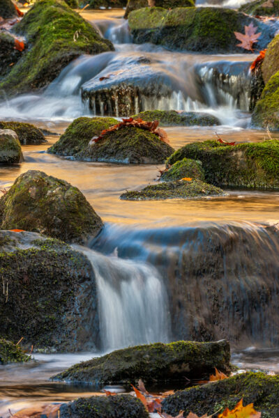 Swift River, a serene journey through New Hampshire's heart