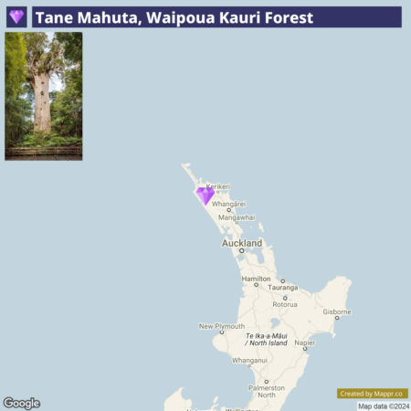 Alt text: An image displaying a map with a location marker indicating Tane Mahuta in the Waipoua Kauri Forest, New Zealand, accompanied by a small photo of the Tane Mahuta tree, which is a large and ancient kauri tree surrounded by a wooden walkway and dense forest foliage.