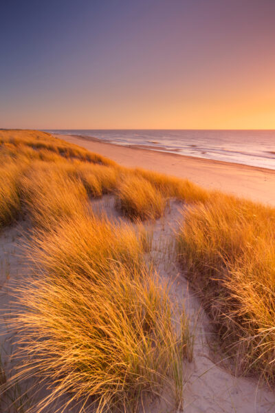 Texel, a paradise for nature lovers, bird watchers, and beachgoers