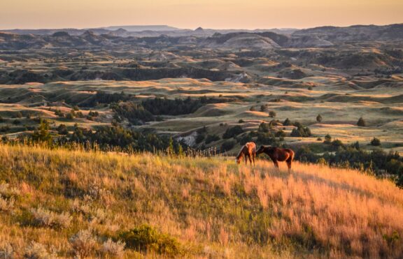 Sunset Over Rolling Hills with Horses in Theodore Roosevelt National Park Theodore Roosevelt National Park, North Dakota.