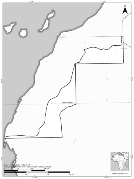 Blank black and white map of Western Sahara with borders and no labels.