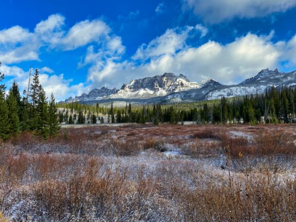 Snow-dusted mountains rise behind a forest and a frost-covered meadow under a blue sky with patchy clouds.