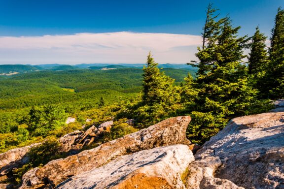 A panoramic view from a mountain overlook with rocky foreground and evergreen trees, overlooking rolling hills and valleys under a clear blue sky with few clouds.