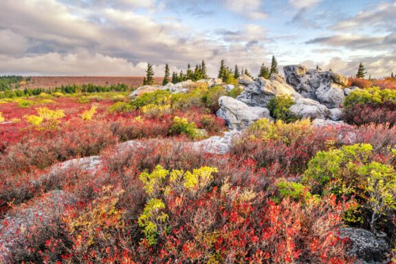 A vibrant autumn landscape featuring a mix of red, orange, and yellow foliage with scattered rocky outcrops and evergreen trees under a partly cloudy sky.