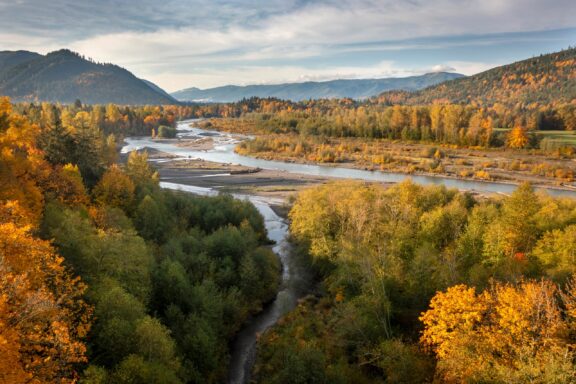 A scenic autumn view of a meandering river through a forest with changing foliage, flanked by mountains under a soft cloudy sky.