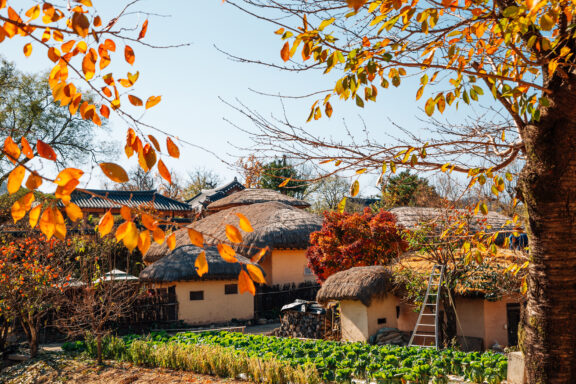 A traditional village with thatched-roof houses, surrounded by autumn foliage and a garden with green leafy crops. A ladder leans against one of the houses.