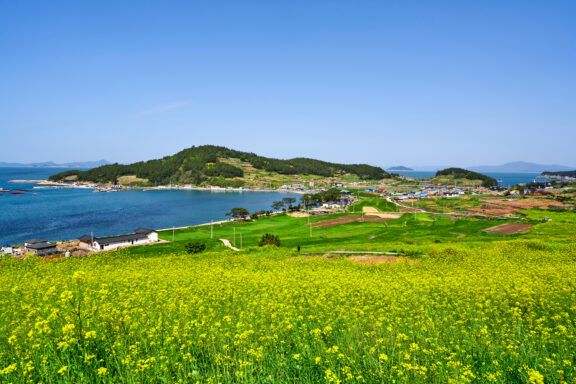 A scenic coastal landscape featuring a meadow with vibrant yellow flowers in the foreground, a small village by the sea, and rolling hills under a clear blue sky.