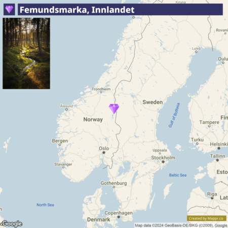 A map highlighting the location of Femundsmarka in Innlandet, Norway, with a purple diamond marker, accompanied by a small inset photo of a sunlit forest at the top left corner.