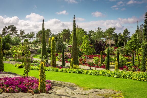 Flor og Fjære, a vibrant oasis