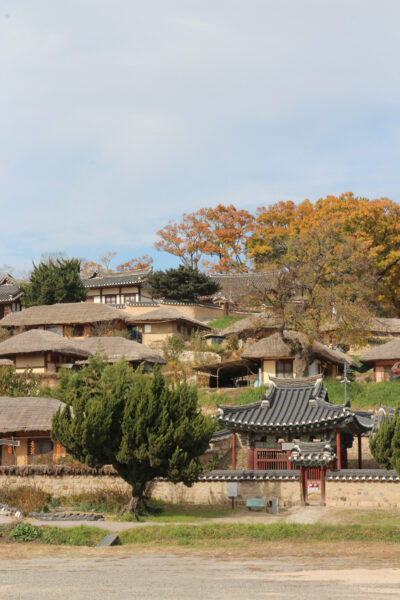 Traditional Korean village with thatched-roof houses and a vibrant autumnal tree in the background.